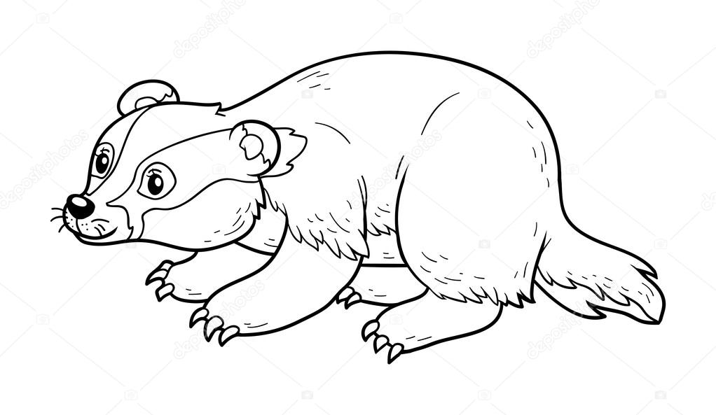 Borsuk kolorowanki